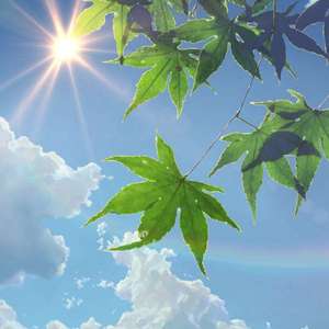 农民工棚户区交易视频记录
