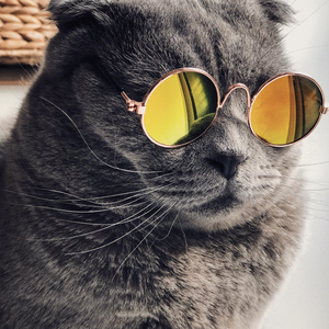 农民工棚户区交易视频记录
