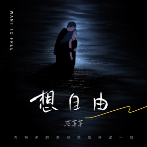 农民工棚户区交易视频记录
